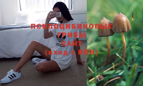 spice Лихославль