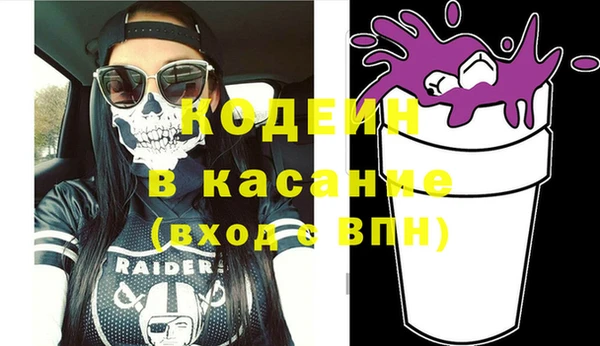 шишки Аркадак