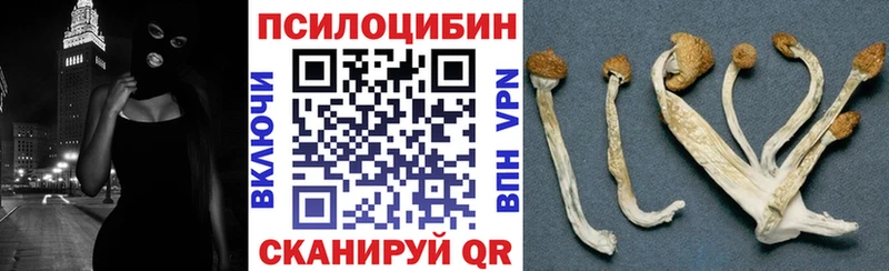 дарк нет клад  где найти наркотики  Курлово  Галлюциногенные грибы ЛСД 